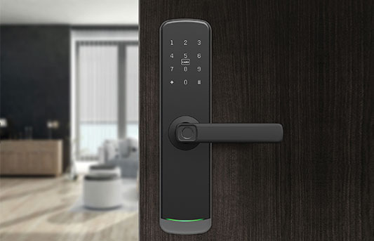 Smart Door Locks